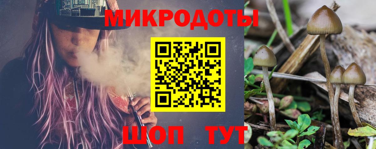 Аргун  Галлюциногенные грибы Psilocybine cubensis  Псилоцибиновые грибы GOLDEN TEACHER  Вход с VPN 